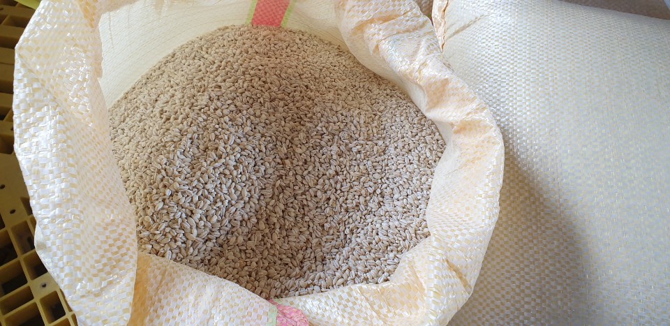 [함께하는 근남면 사람들]근남마을 보리쌀 3kg