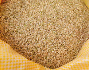 [함께하는 근남면 사람들] 현미쌀 1kg