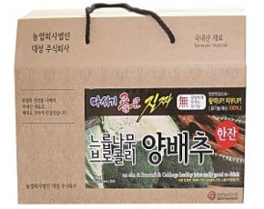 [농업회사법인 대성]  마시 기좋은 진짜 느릅나무 브로콜리 양배추즙 30포